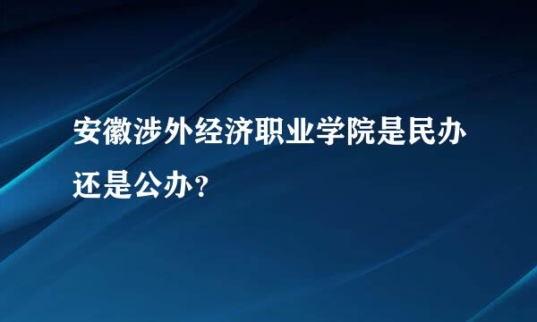 安徽涉外经济职业学院是民办还是公办？