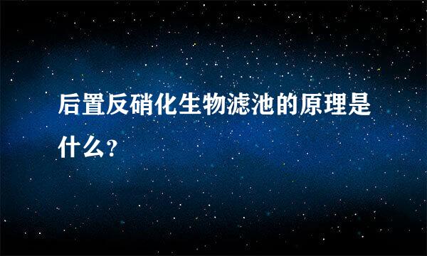 后置反硝化生物滤池的原理是什么？