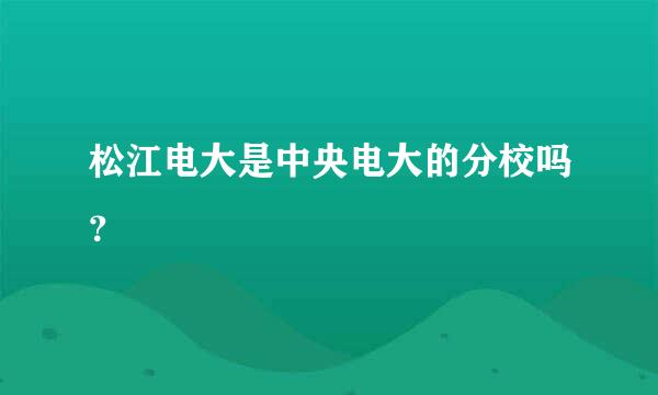 松江电大是中央电大的分校吗？