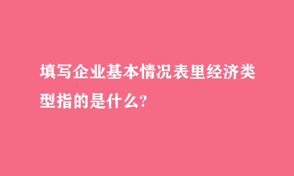 填写企业基本情况表里经济类型指的是什么?