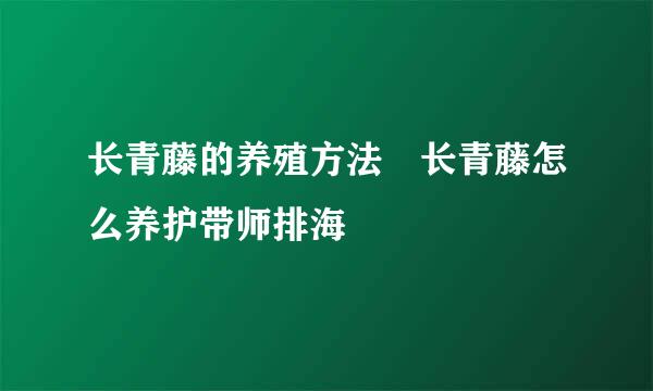 长青藤的养殖方法 长青藤怎么养护带师排海