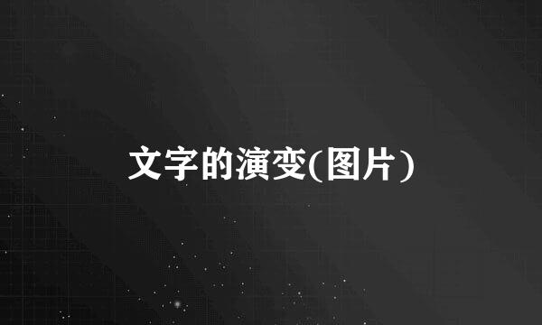 文字的演变(图片)