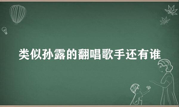 类似孙露的翻唱歌手还有谁