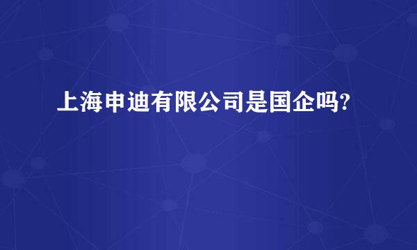 上海申迪有限公司是国企吗?