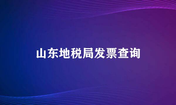 山东地税局发票查询