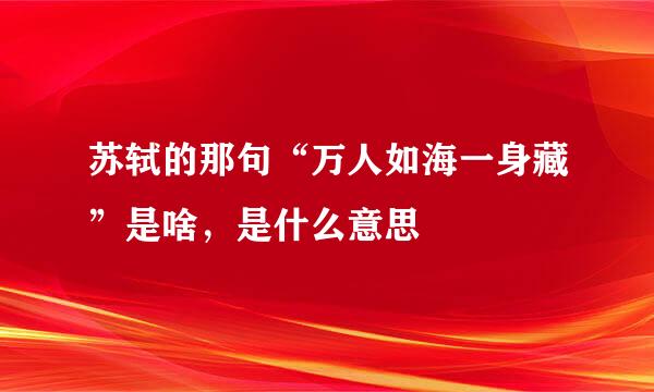 苏轼的那句“万人如海一身藏”是啥，是什么意思