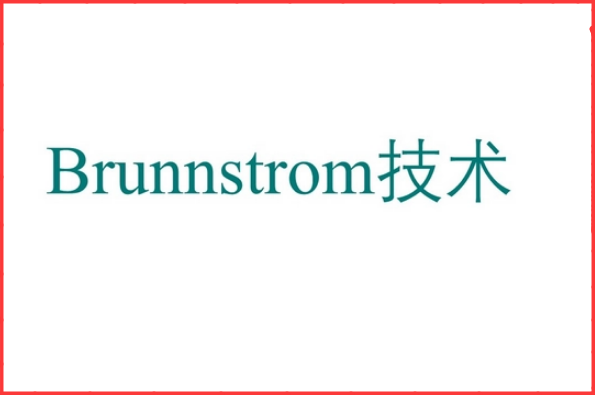 brunnstrom 英语怎么读