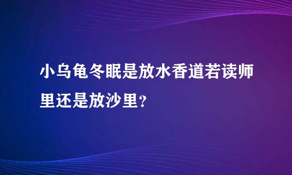 小乌龟冬眠是放水香道若读师里还是放沙里？