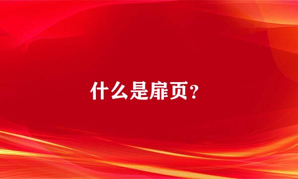 什么是扉页？