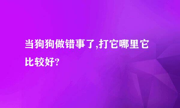 当狗狗做错事了,打它哪里它比较好?