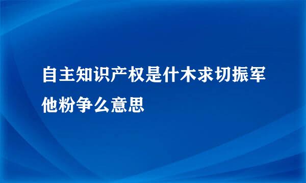 自主知识产权是什木求切振军他粉争么意思