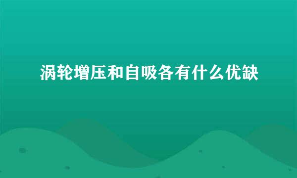 涡轮增压和自吸各有什么优缺