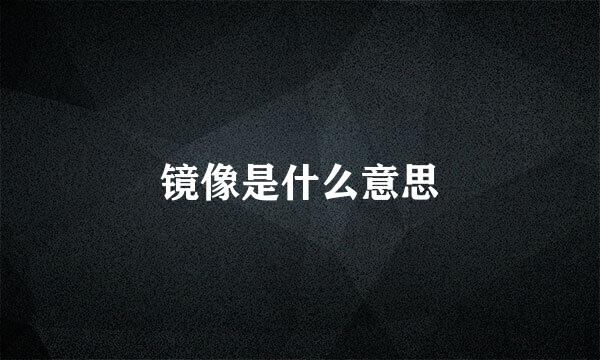 镜像是什么意思