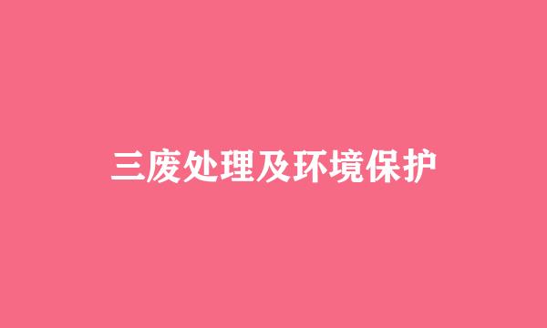 三废处理及环境保护