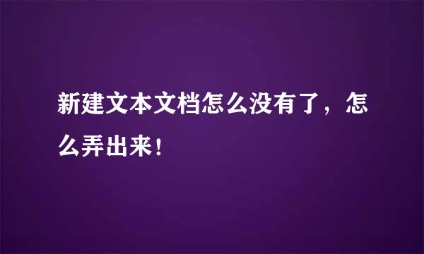 新建文本文档怎么没有了，怎么弄出来！