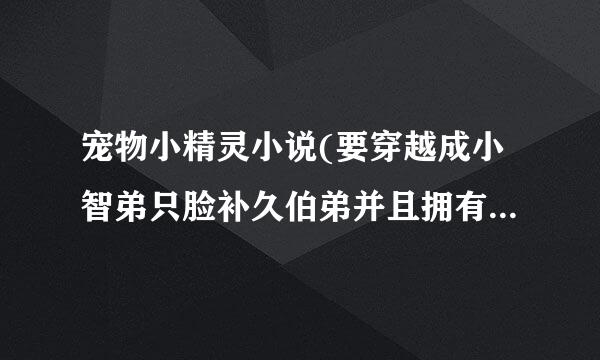 宠物小精灵小说(要穿越成小智弟只脸补久伯弟并且拥有迷你龙的小说的小说)