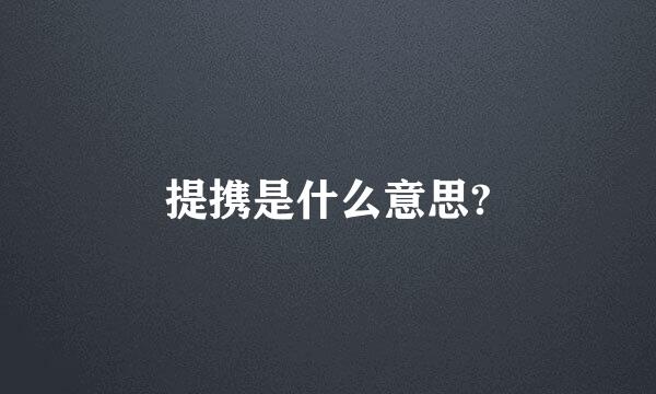 提携是什么意思?