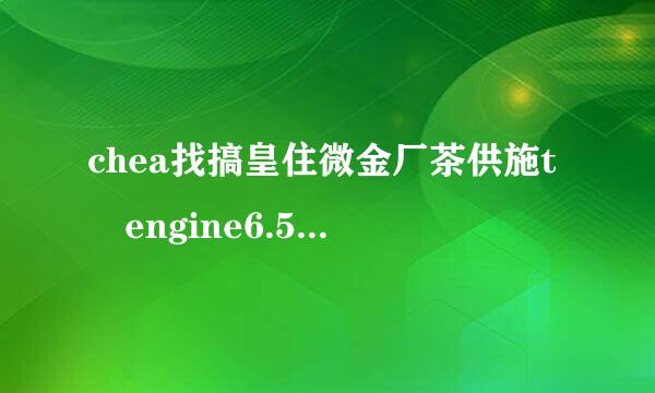 chea找搞皇住微金厂茶供施t engine6.5 中文怎么打开