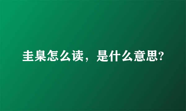 圭臬怎么读，是什么意思?