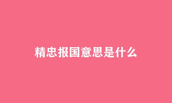 精忠报国意思是什么