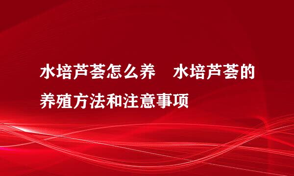 水培芦荟怎么养 水培芦荟的养殖方法和注意事项