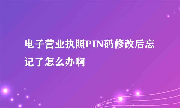 电子营业执照PIN码修改后忘记了怎么办啊