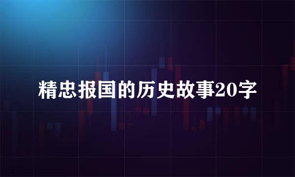 精忠报国的历史故事20字