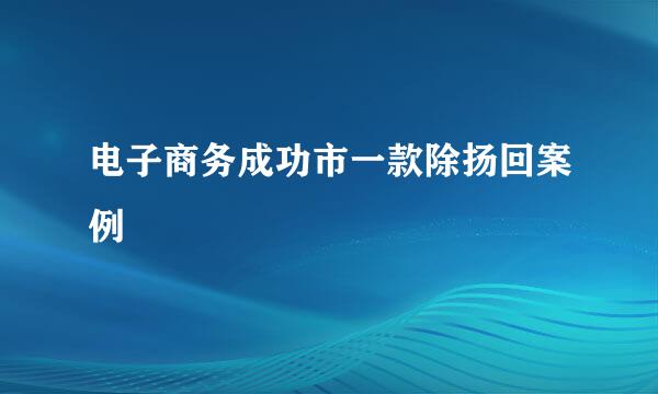 电子商务成功市一款除扬回案例