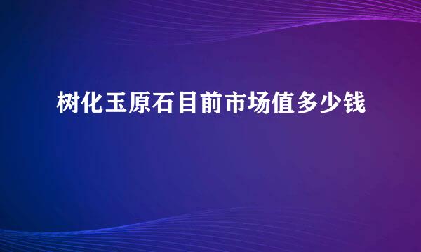 树化玉原石目前市场值多少钱