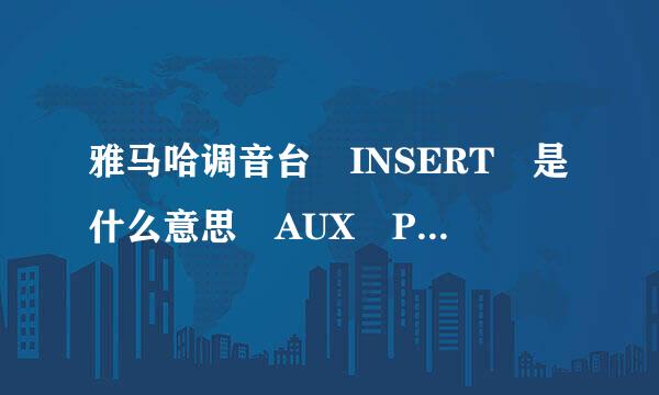 雅马哈调音台 INSERT 是什么意思 AUX PETURN 是什么意思？