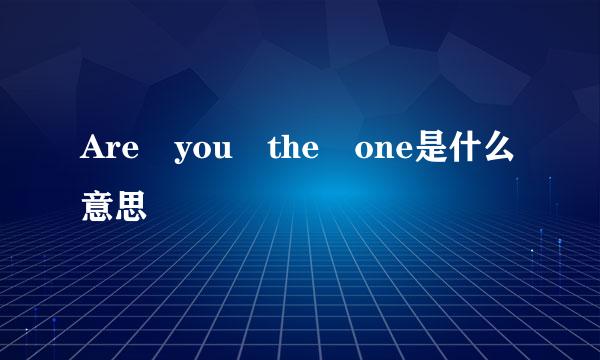 Are you the one是什么意思