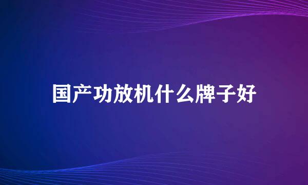 国产功放机什么牌子好