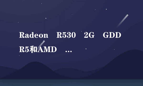 Radeon R530 2G GDDR5和AMD R5-315显卡哪个好一些？能不能带动绝地求生？