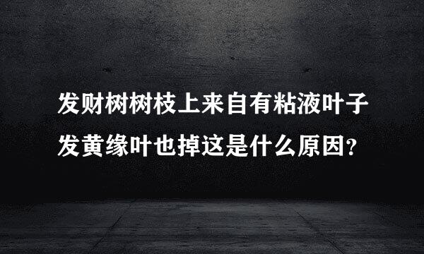 发财树树枝上来自有粘液叶子发黄缘叶也掉这是什么原因？