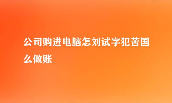 公司购进电脑怎刘试字犯苦国么做账