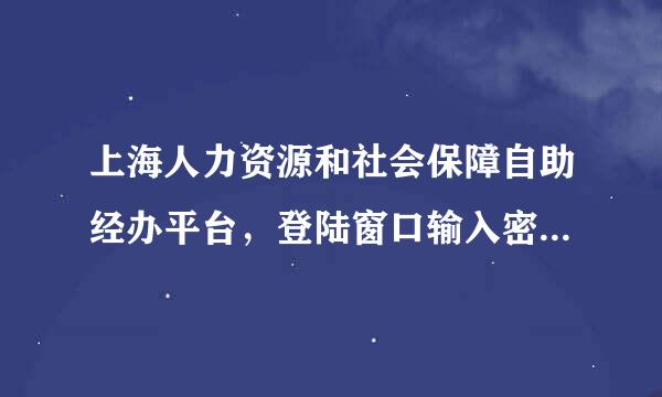 上海人力资源和社会保障自助经办平台，登陆窗口输入密码后进不去，下面显示了SP是什么意思？