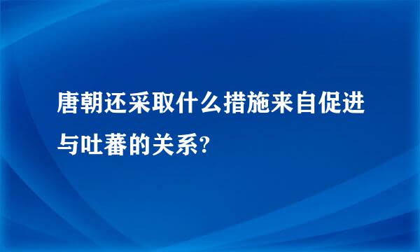 唐朝还采取什么措施来自促进与吐蕃的关系?