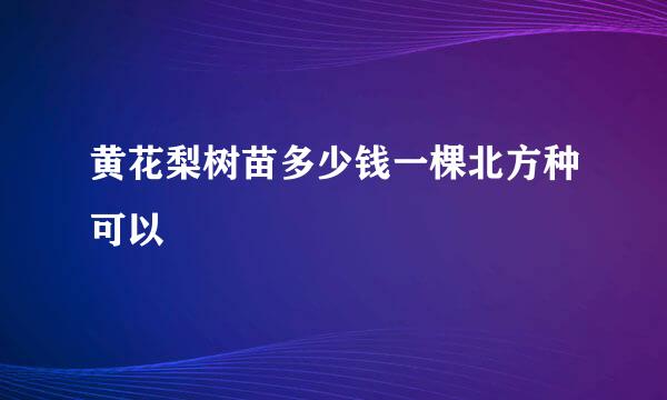 黄花梨树苗多少钱一棵北方种可以