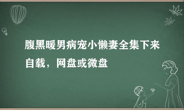 腹黑暖男病宠小懒妻全集下来自载，网盘或微盘