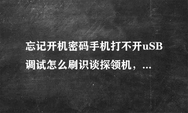 忘记开机密码手机打不开uSB调试怎么刷识谈探领机，双清无用也要密码