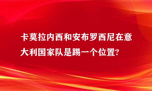 卡莫拉内西和安布罗西尼在意大利国家队是踢一个位置?