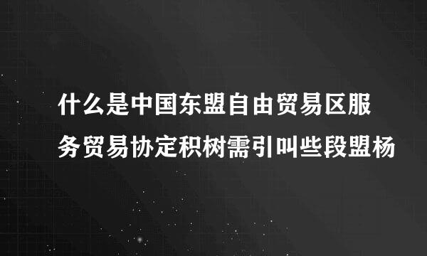 什么是中国东盟自由贸易区服务贸易协定积树需引叫些段盟杨