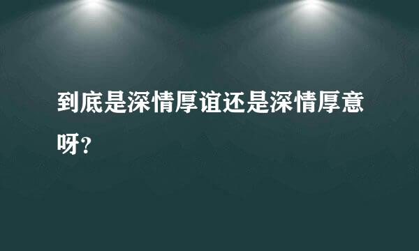 到底是深情厚谊还是深情厚意呀？