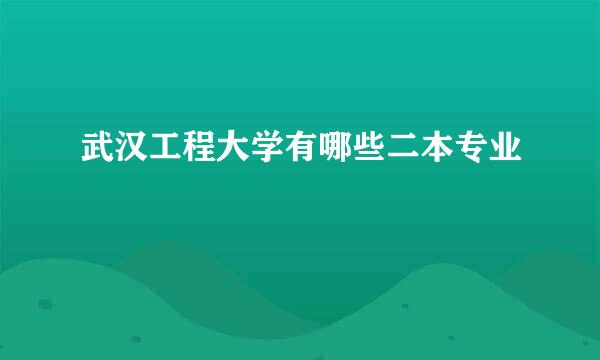 武汉工程大学有哪些二本专业