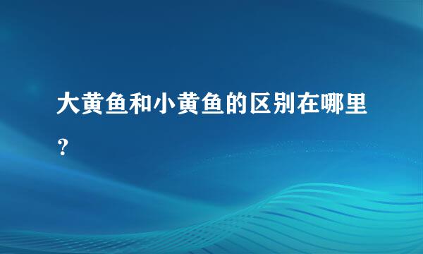 大黄鱼和小黄鱼的区别在哪里？