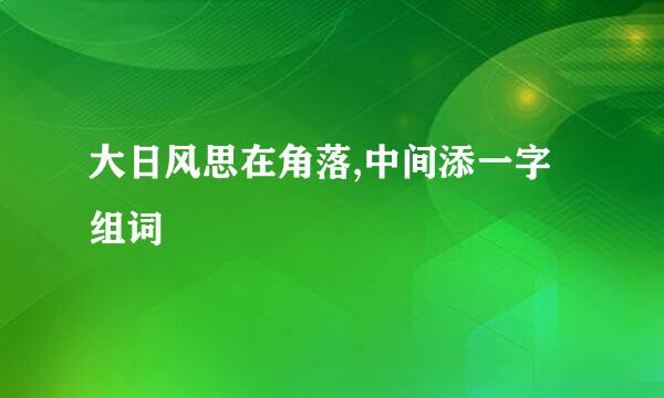 大日风思在角落,中间添一字组词