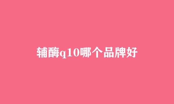 辅酶q10哪个品牌好