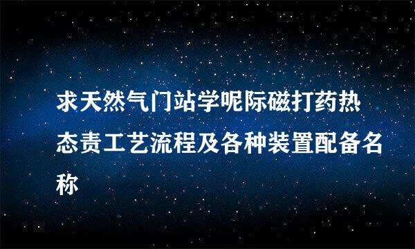 求天然气门站学呢际磁打药热态责工艺流程及各种装置配备名称