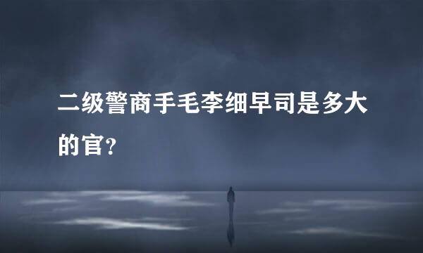 二级警商手毛李细早司是多大的官？