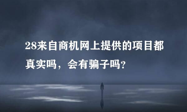 28来自商机网上提供的项目都真实吗，会有骗子吗？